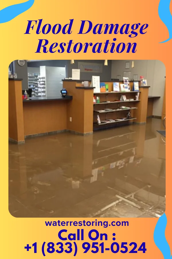 Flood Damage Restoration in Cedar Point, KS