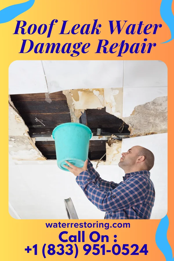 Roof Leak Water Damage Repair in Cedar Point, KS