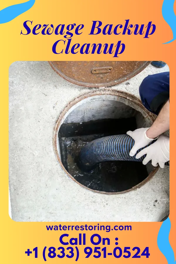 Sewage Backup Cleanup in Cedar Point, KS